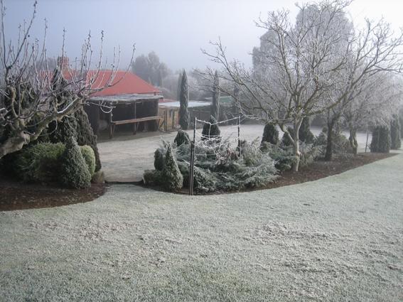 Vineyard Cottage Bnb Gumeracha Экстерьер фото